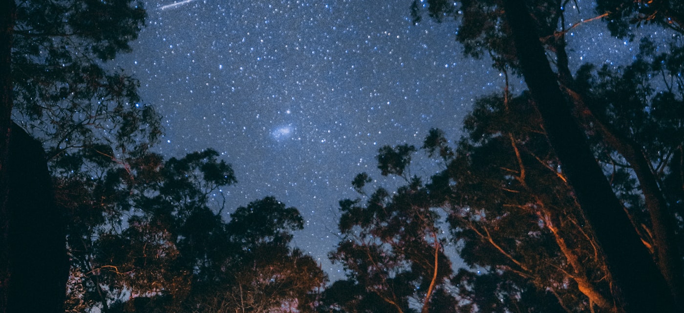 Best Red Screen Flashlight App for Night Reading, Camping, and 3AM Use